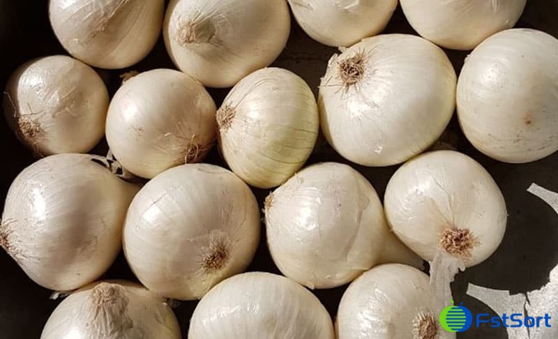 Máquina clasificadora de cebolla turca.jpg Máquina clasificadora de cebolla turca.jpg